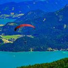 Gleitschirmflieger überm Wolfgangsee 