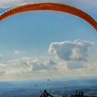 Gleitschirmflieger - Wasserkuppe Rhön