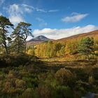 Glen Affric