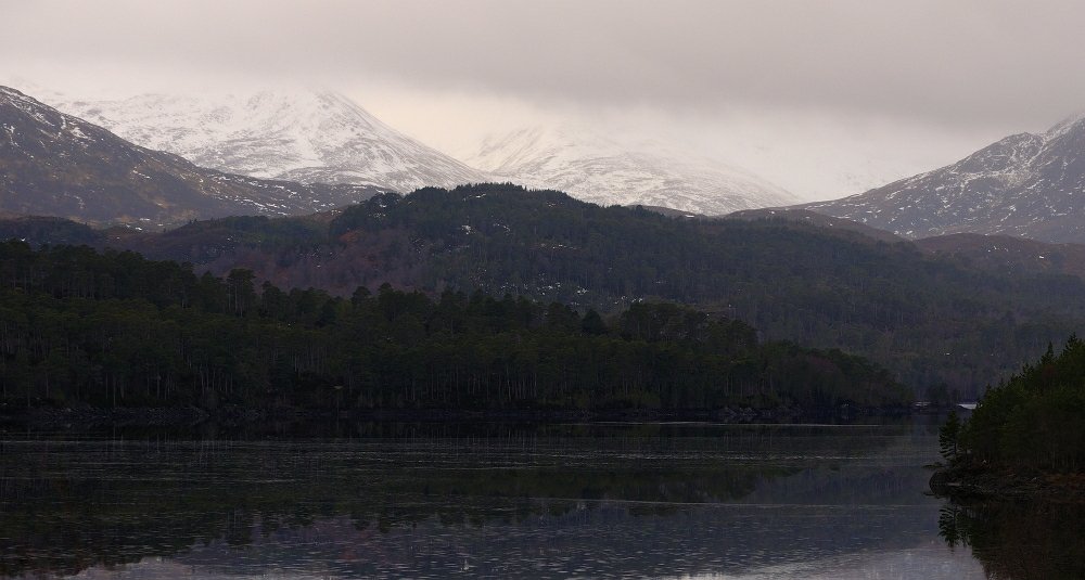 Glen Affric