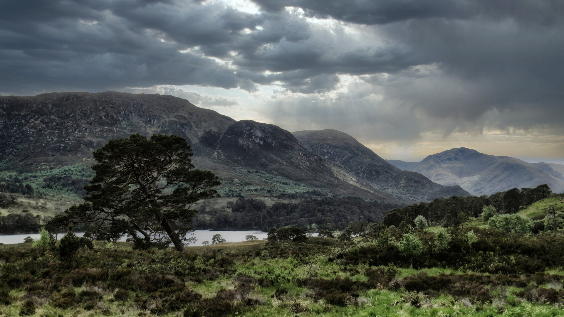 Glen Affric