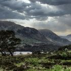 Glen Affric