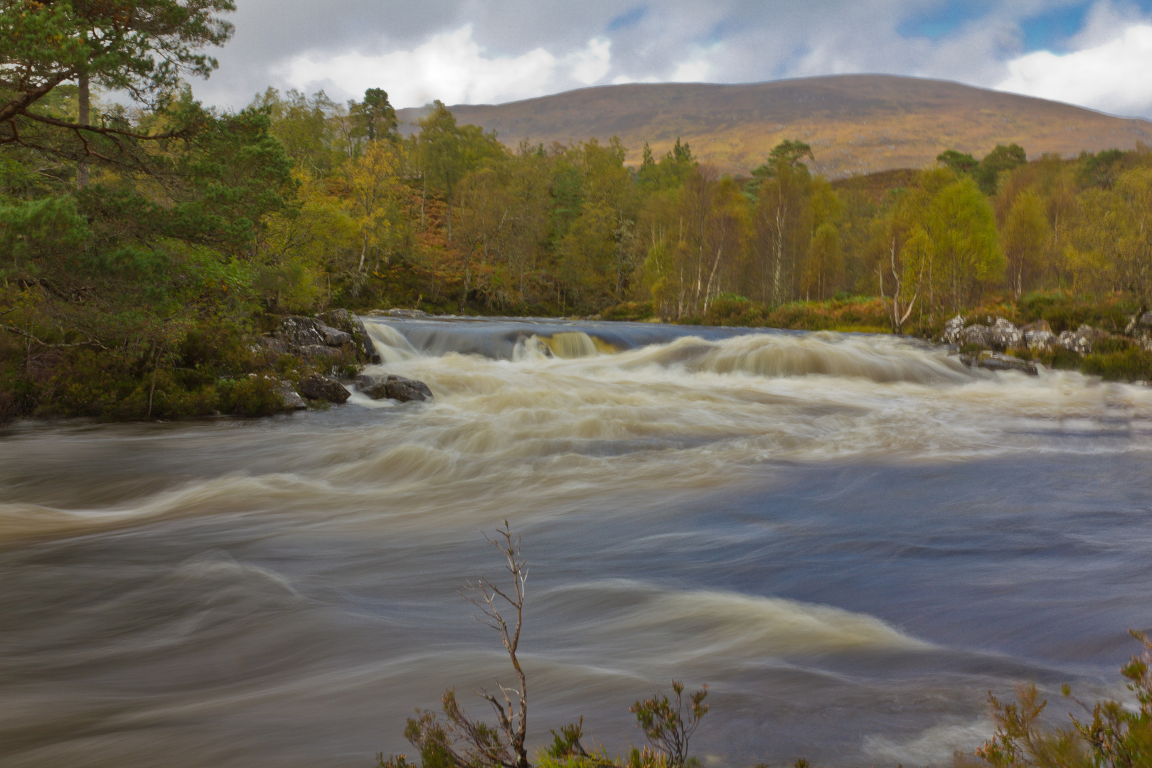 Glen Affric