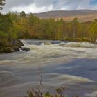 Glen Affric