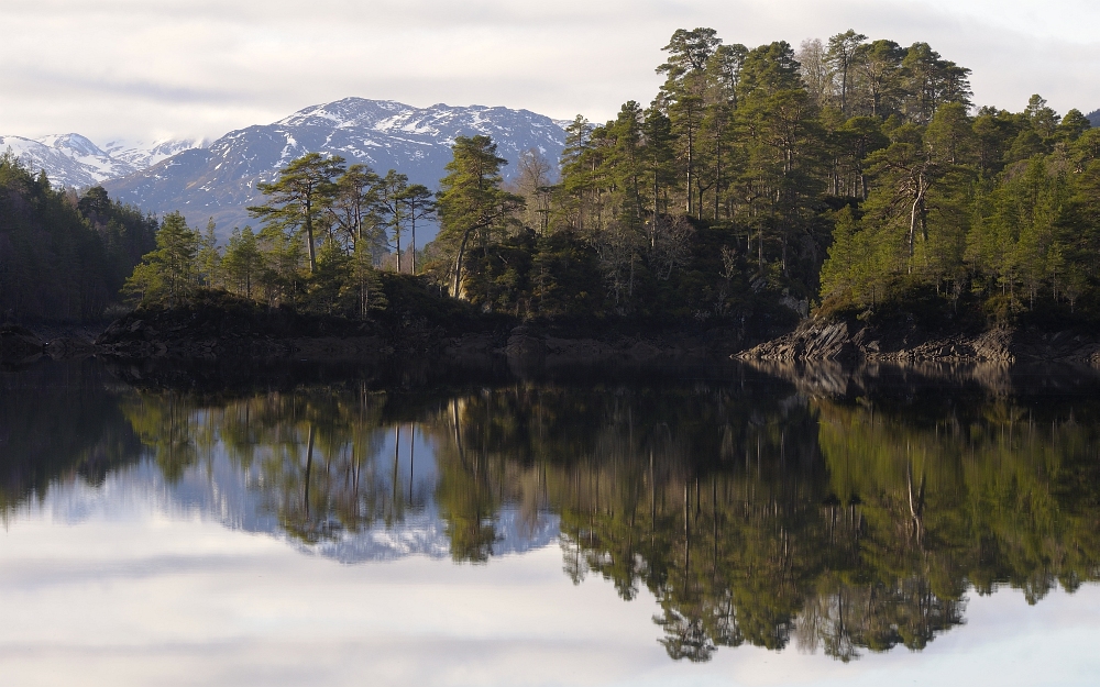 Glen Affric