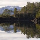 Glen Affric