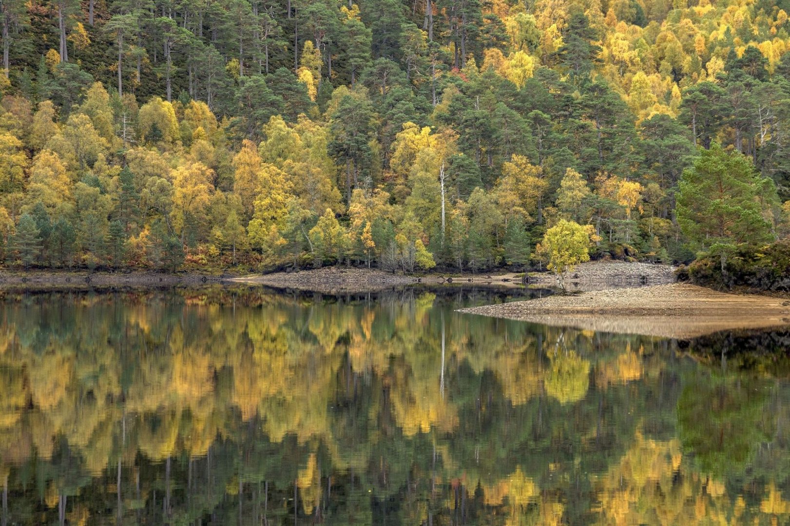 Glen Affric