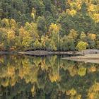 Glen Affric