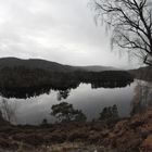 Glen Affric