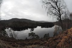 Glen Affric