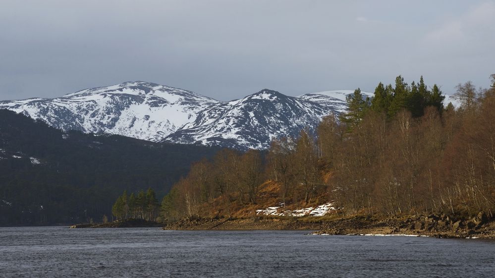 Glen Affric