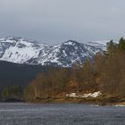 Glen Affric