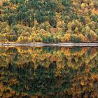 Glen Affric herbst