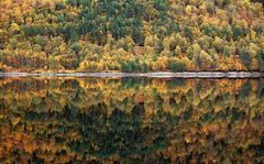 Glen Affric herbst