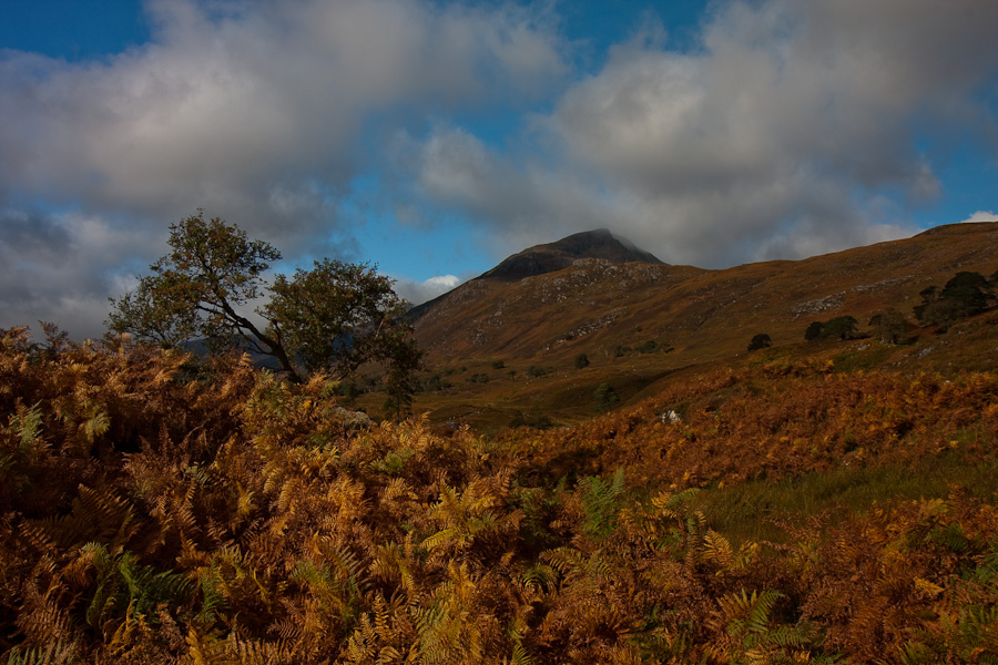 Glen Affric II