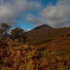 Glen Affric II