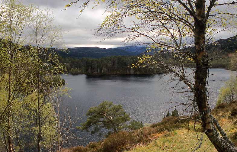 Glen Affric in the West Highlands of Scotland