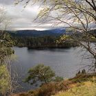 Glen Affric in the West Highlands of Scotland