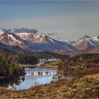 Glen Affric Morgen