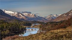 Glen Affric Morgen