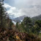 Glen Affric - remnant of winter