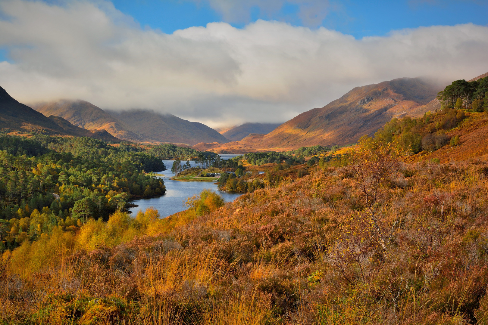 Glen Affric, Schottland