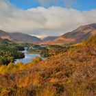 Glen Affric, Schottland