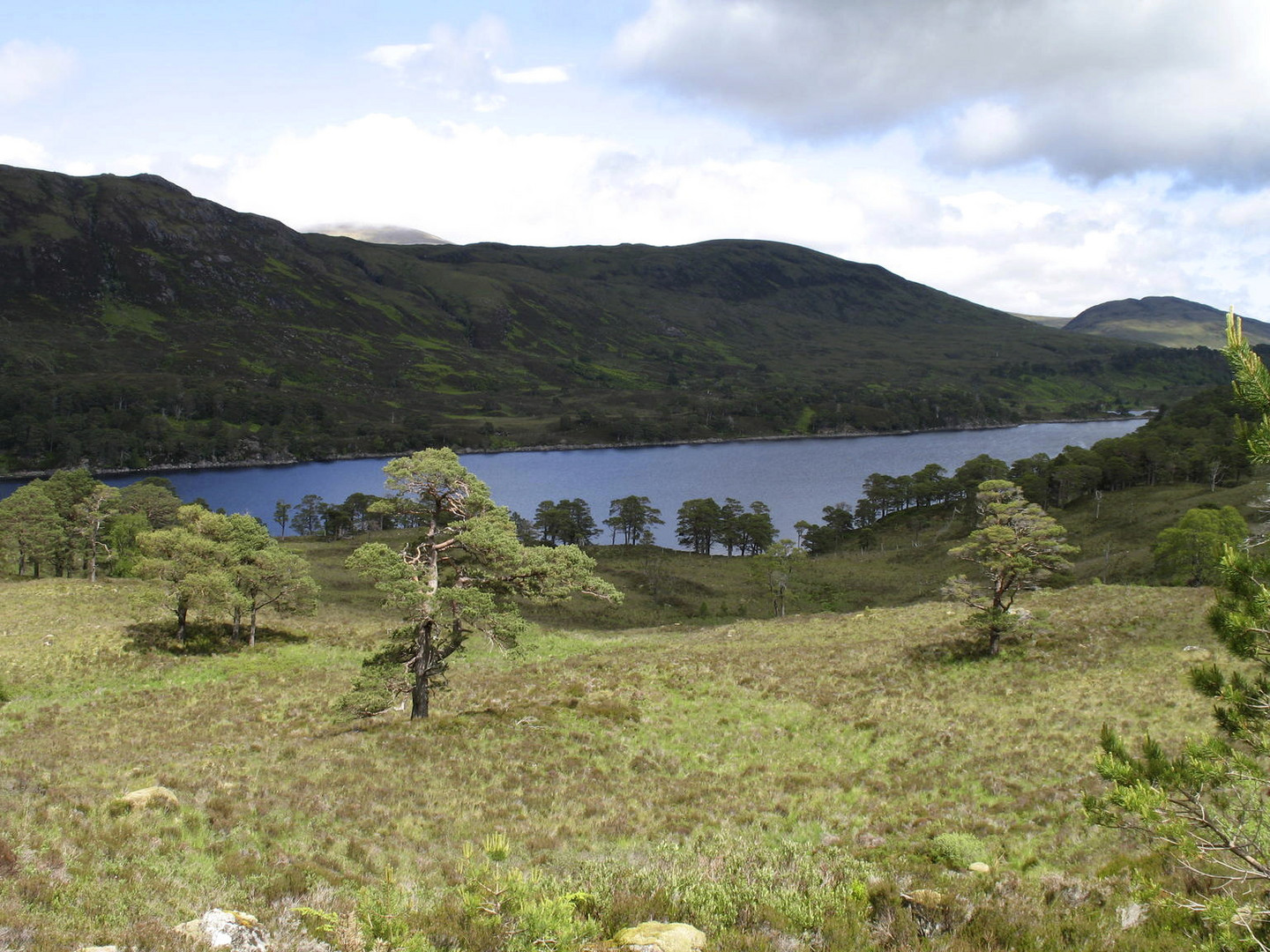 Glen Affric2