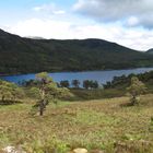 Glen Affric2