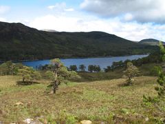 Glen Affric2