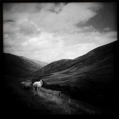 Glen Coe Lights II