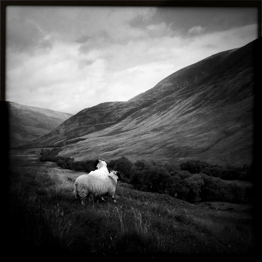 Glen Coe Lights V