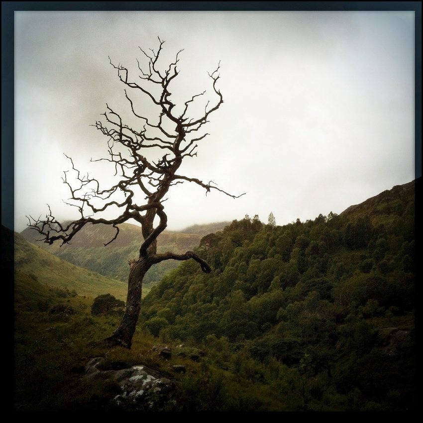 Glen Coe Lights XI