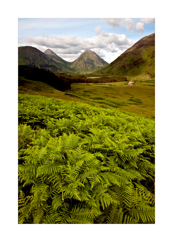 [ Glen Etive ]