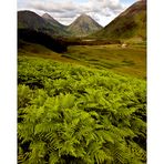 [ Glen Etive ]