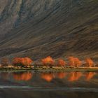 Glen Etive