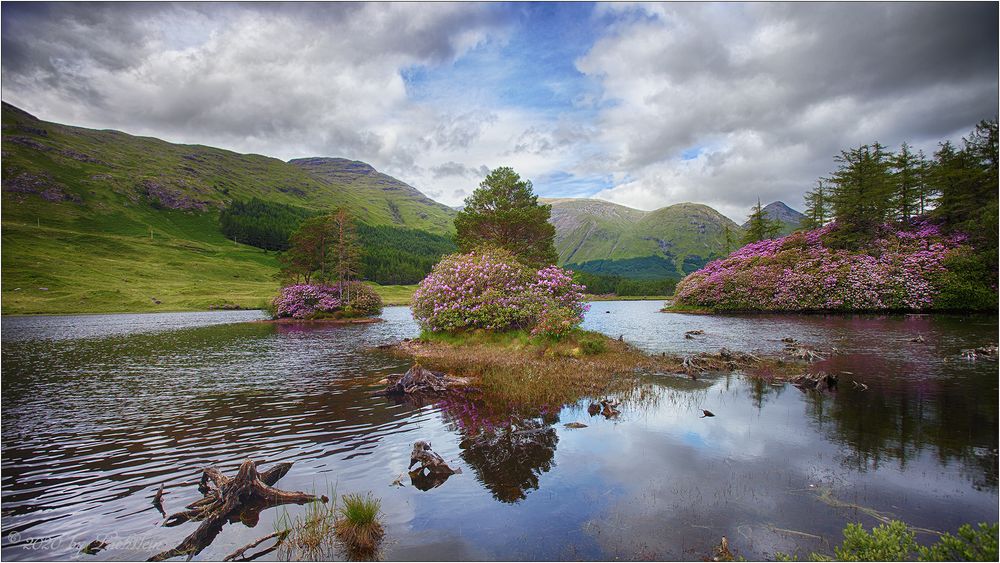 Glen Etive Color