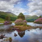 Glen Etive Color