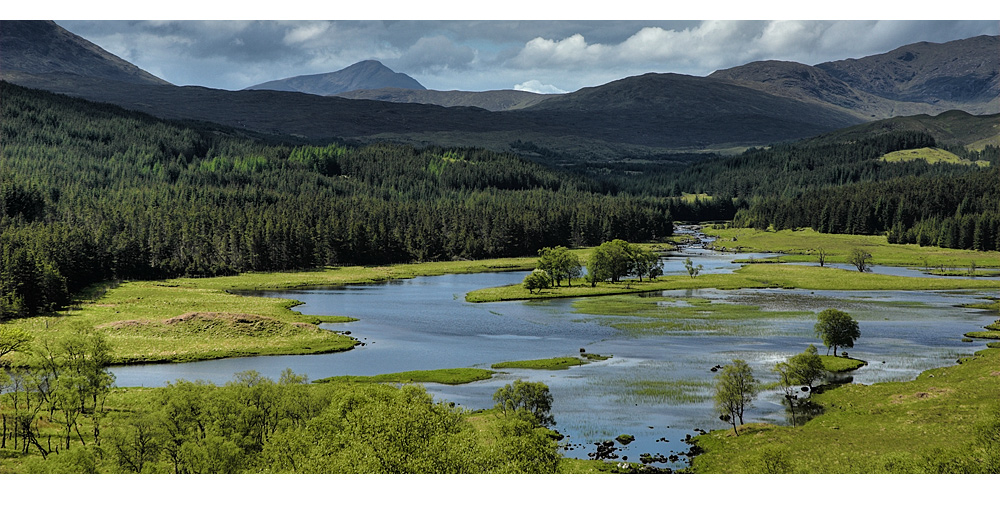 Glen Garry