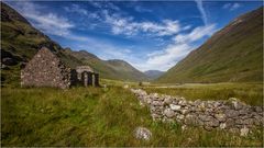 Glen Licht