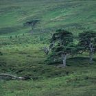 Glen Lyon