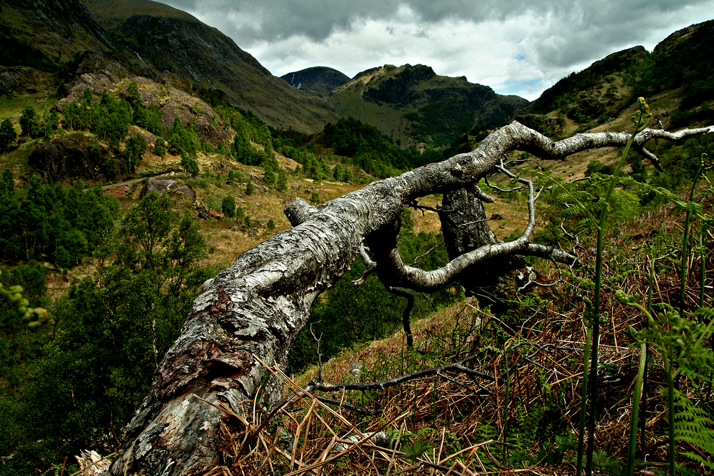 Glen Nevis