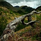 Glen Nevis