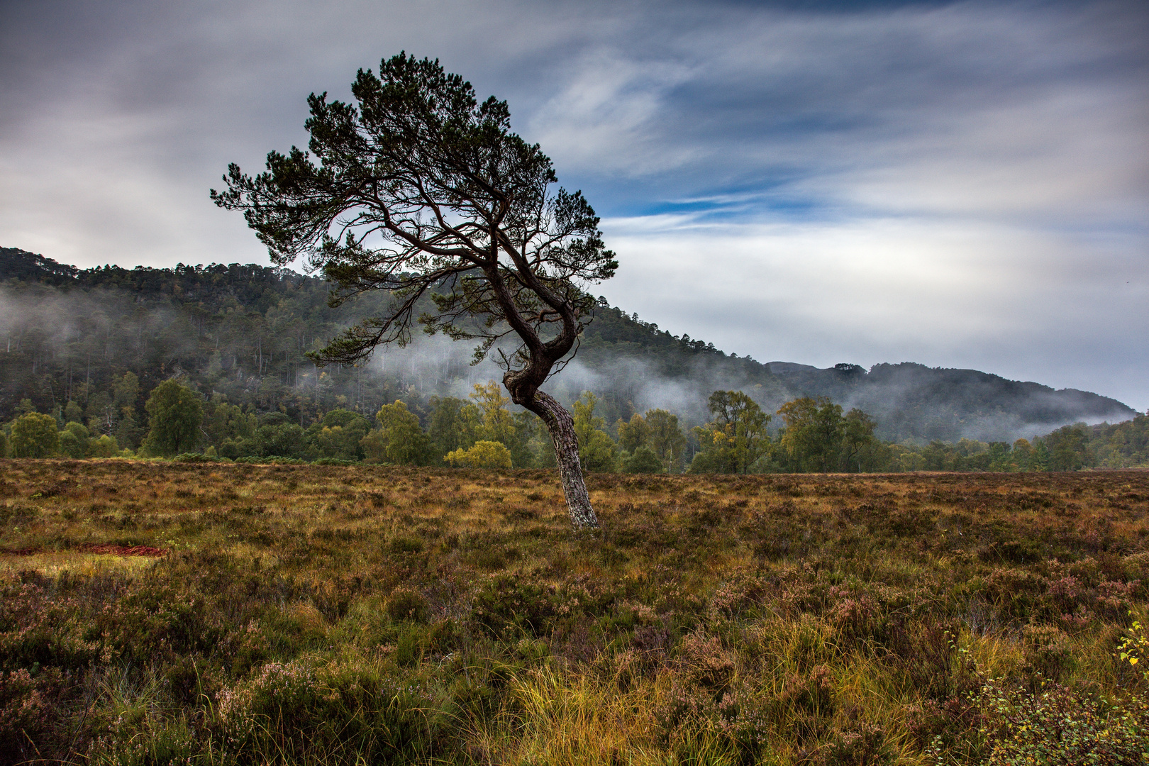 ...glen strathfarrar...