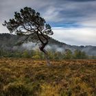 ...glen strathfarrar...