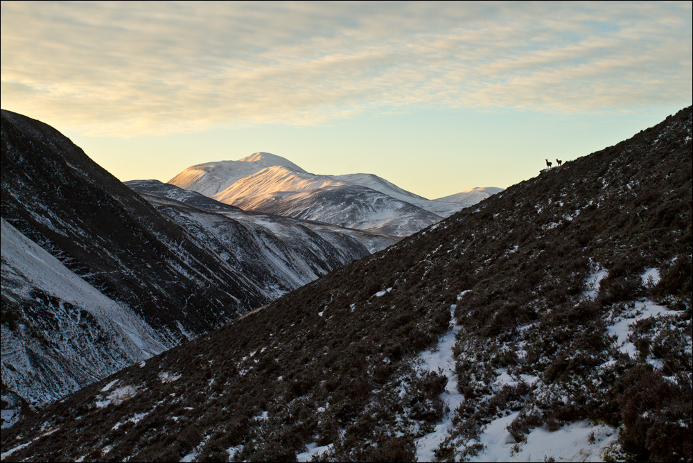 Glen Tilt, Cairngorms