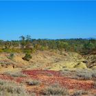 *** Glenalva Decomposed Vulcanic Ash ***