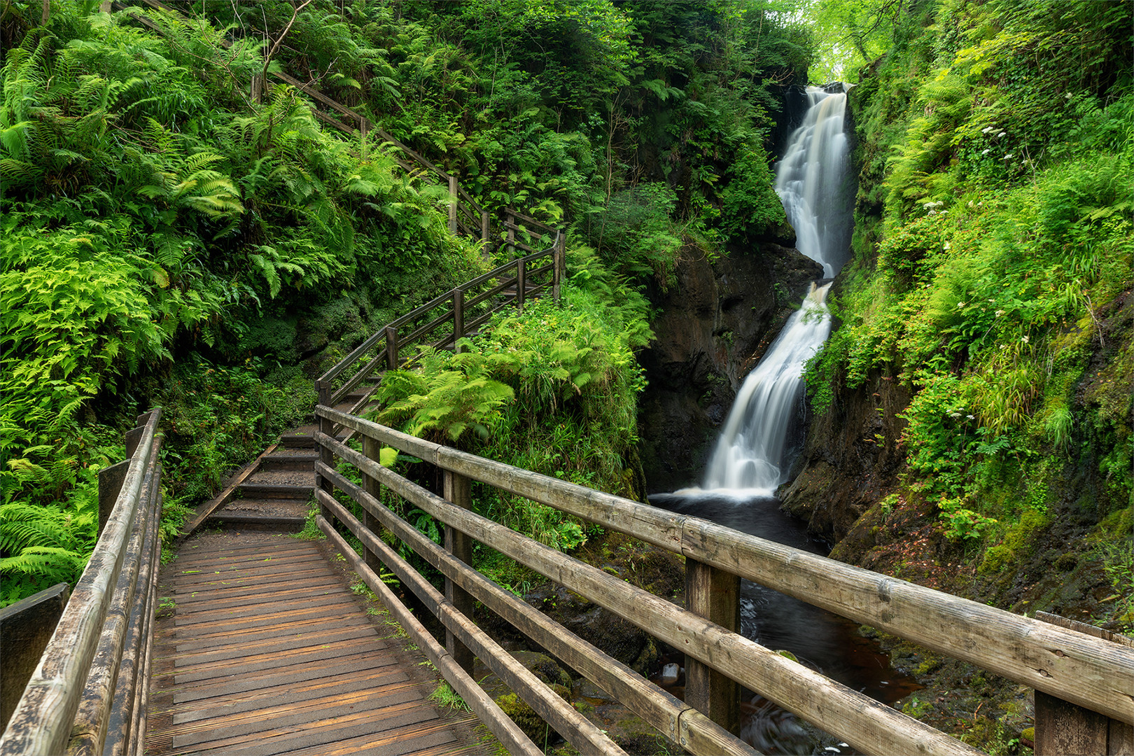 Glenariff Forest Park