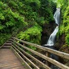 Glenariff Forest Park