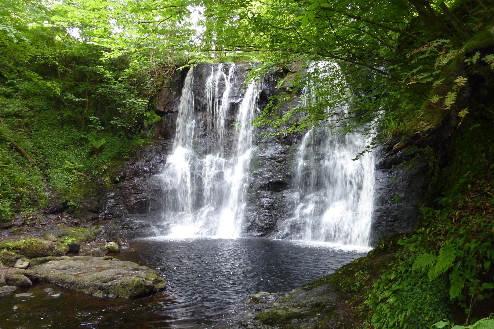 Glenariff Forest Park, Glens of Antrim